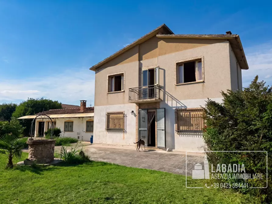 Immagine 6 di Villa in vendita  in Via Zelo 1435 a Ceneselli