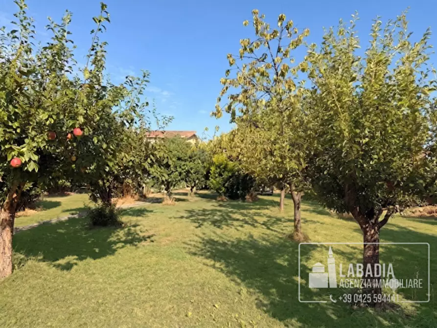Immagine 7 di Villa in vendita  in Via Zelo 1435 a Ceneselli