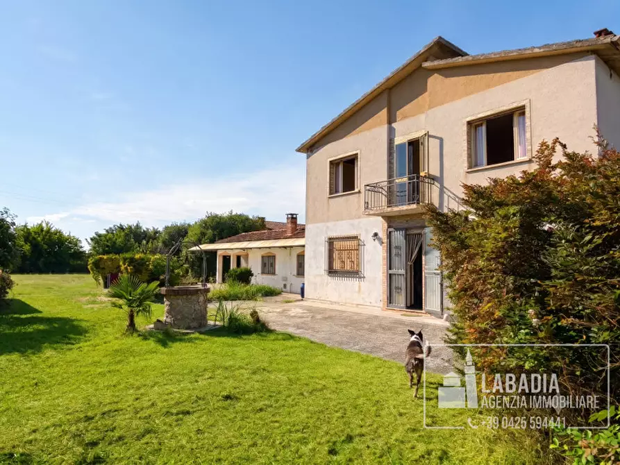 Immagine 61 di Villa in vendita  in Via Zelo 1435 a Ceneselli