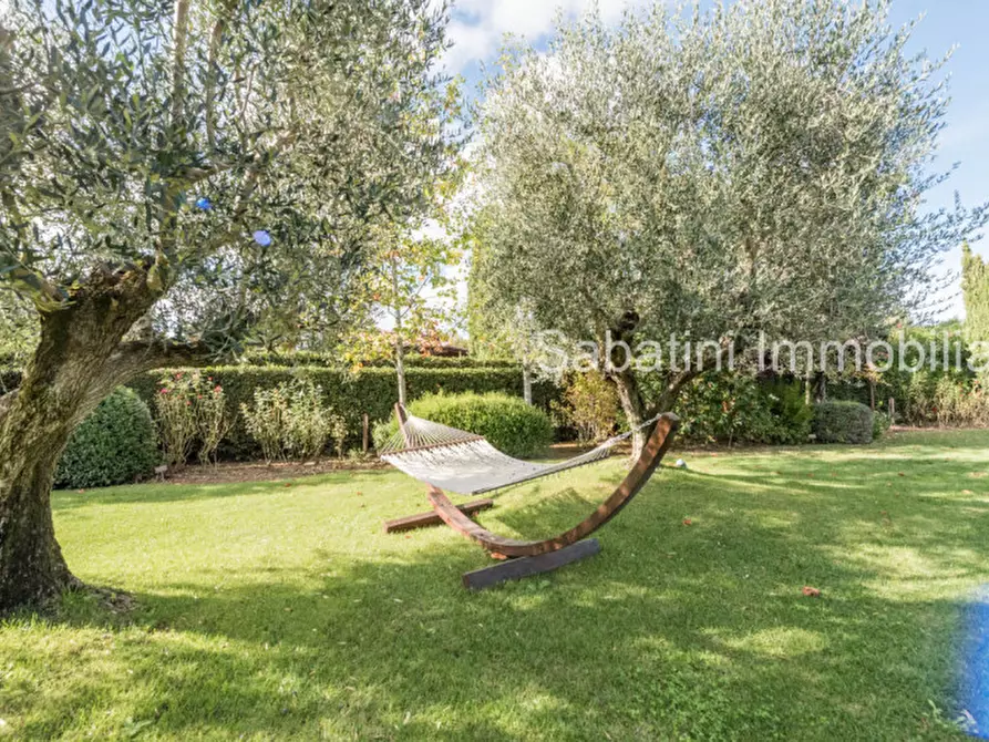 Immagine 8 di Villa in vendita  in Contrada Cerreto, 120 a Miglianico