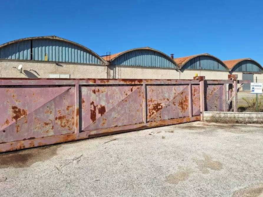 Immagine 1 di Capannone industriale in vendita  in Via Assisi, N. 104 a Cannara