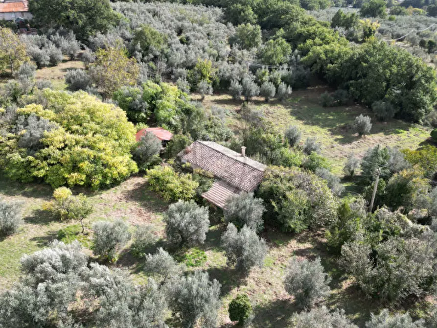 Immagine 1 di Rustico / casale in vendita  in Strada Santa Maria La Rocca a Terni