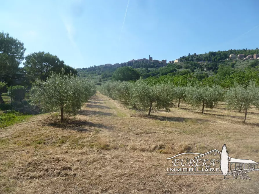 Immagine 39 di Villa in vendita  a Panicale