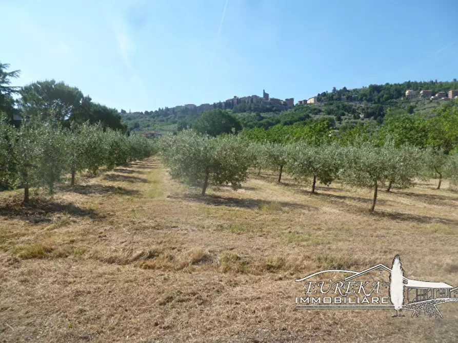 Immagine 40 di Villa in vendita  a Panicale