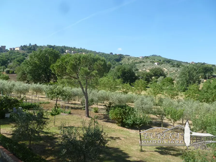 Immagine 48 di Villa in vendita  a Panicale