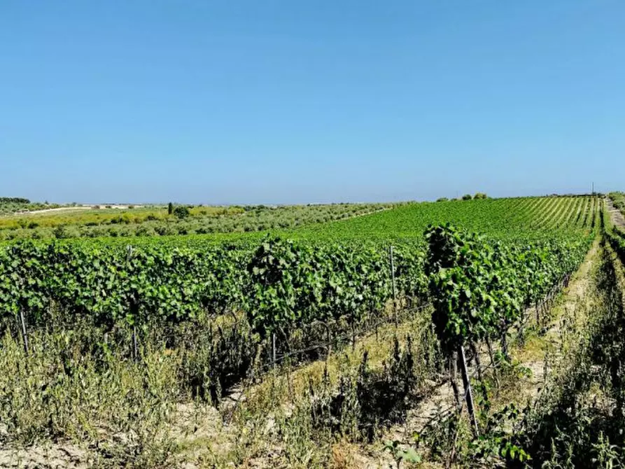 Immagine 5 di Villa in vendita  in Contrada Bonivini a Noto