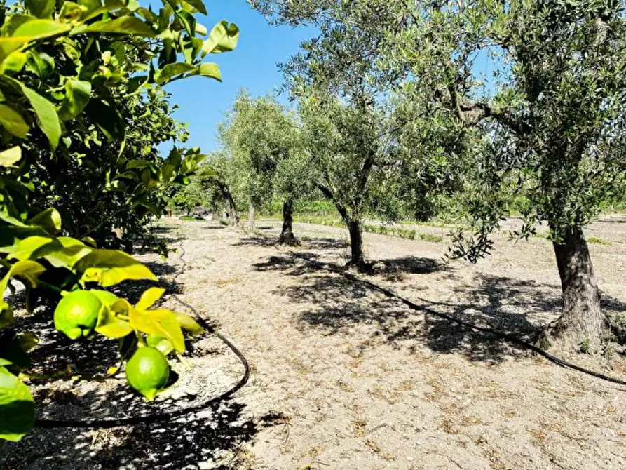 Immagine 8 di Villa in vendita  in Contrada Bonivini a Noto