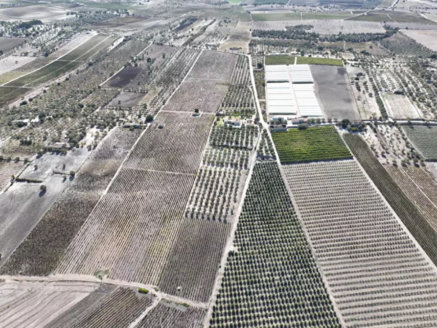Immagine 32 di Villa in vendita  in Contrada Bonivini a Noto