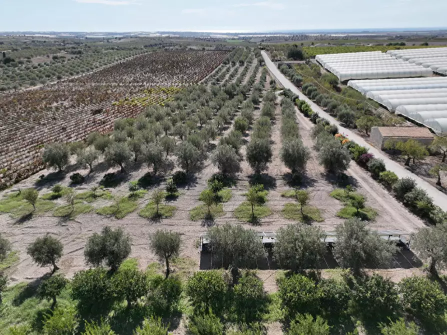 Immagine 35 di Villa in vendita  in Contrada Bonivini a Noto