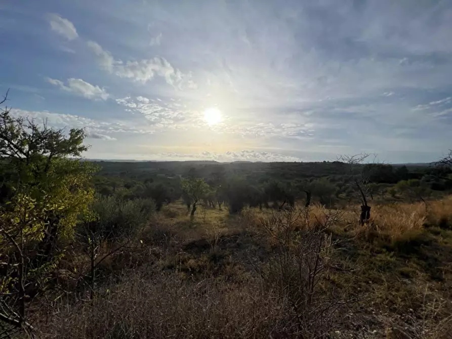 Immagine 4 di Terreno in vendita  in via dogali e saati a Noto