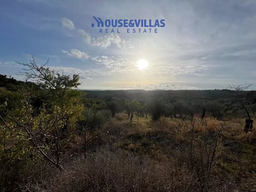 Immagine 5 di Terreno in vendita  in via dogali e saati a Noto