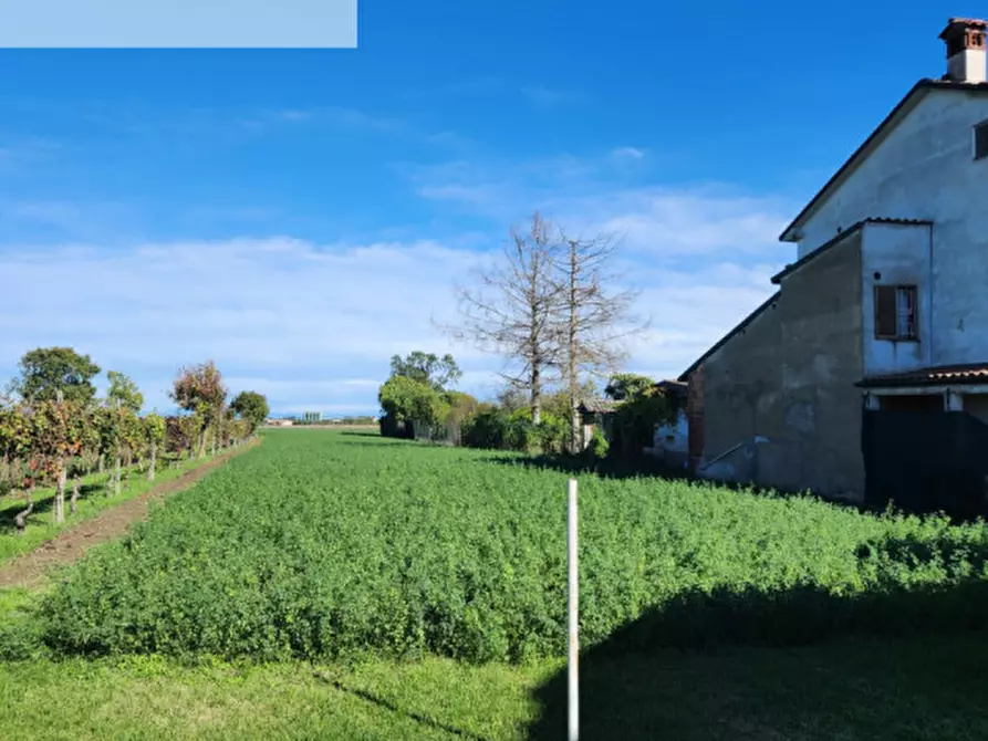 Immagine 11 di Casa indipendente in vendita  in Via 5 Martiri della Liberazione a Bressana Bottarone