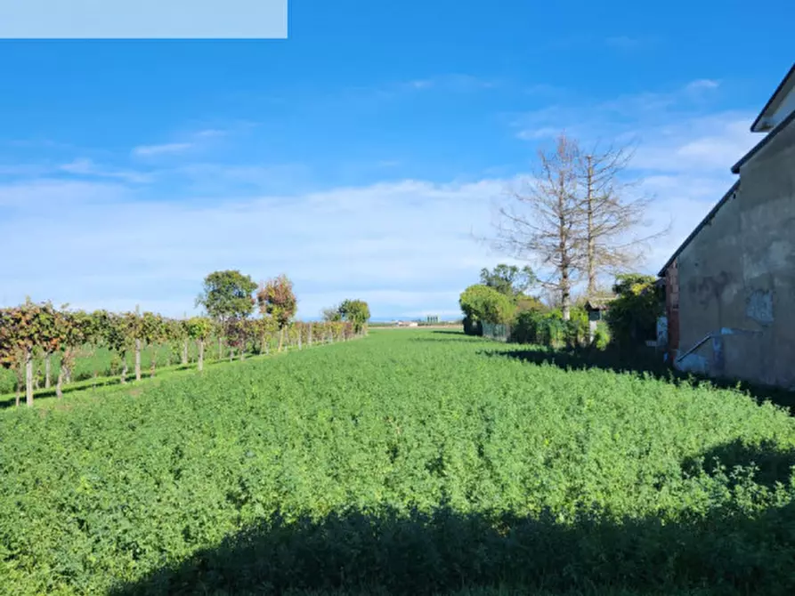 Immagine 14 di Casa indipendente in vendita  in Via 5 Martiri della Liberazione a Bressana Bottarone