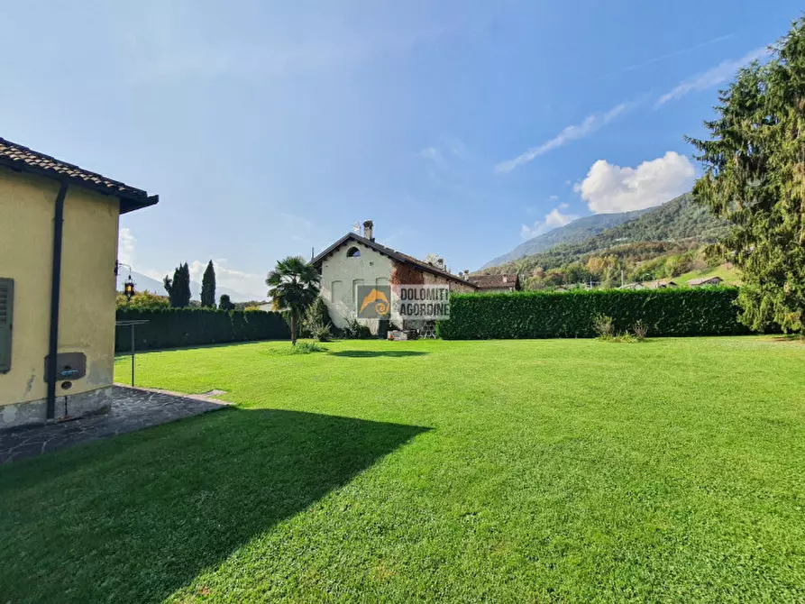 Immagine 5 di Villa in vendita  in Via Trento a Pedavena