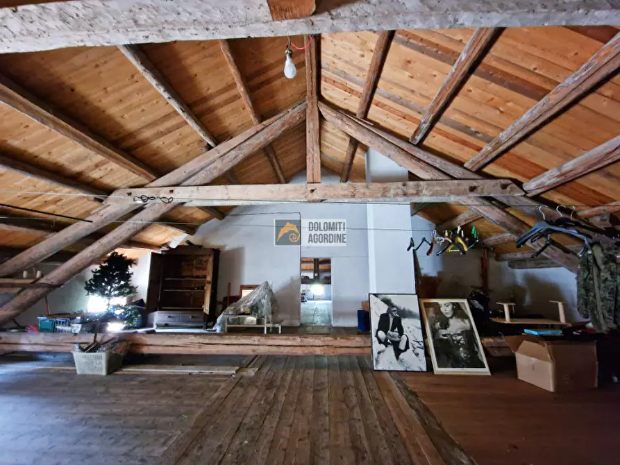 Immagine 23 di Villa in vendita  in Via Trento a Pedavena