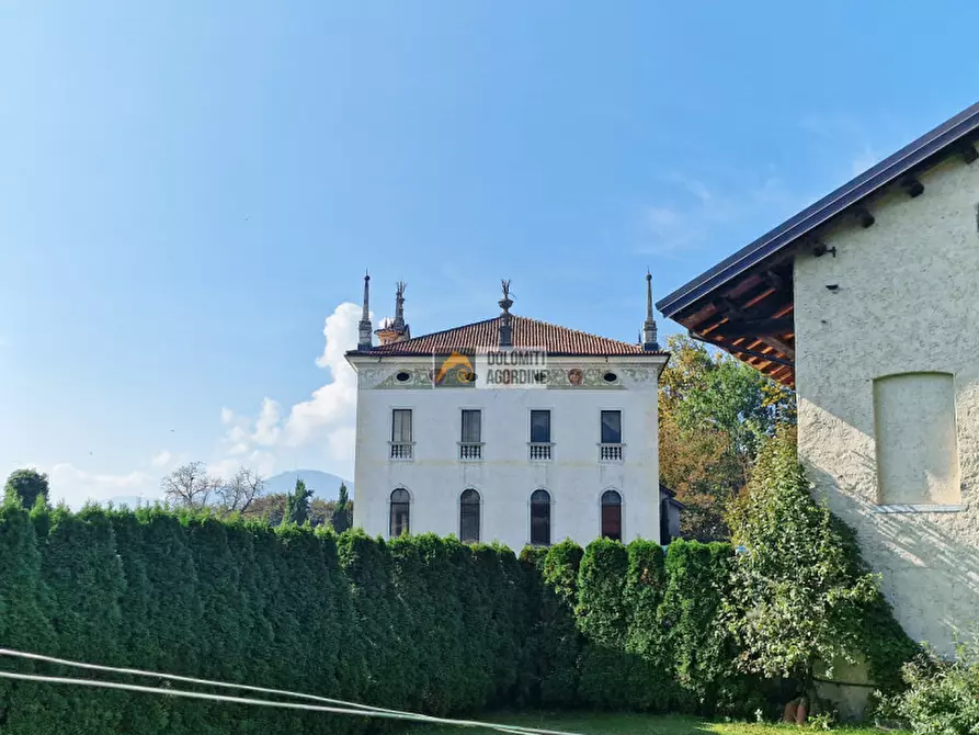 Immagine 24 di Villa in vendita  in Via Trento a Pedavena