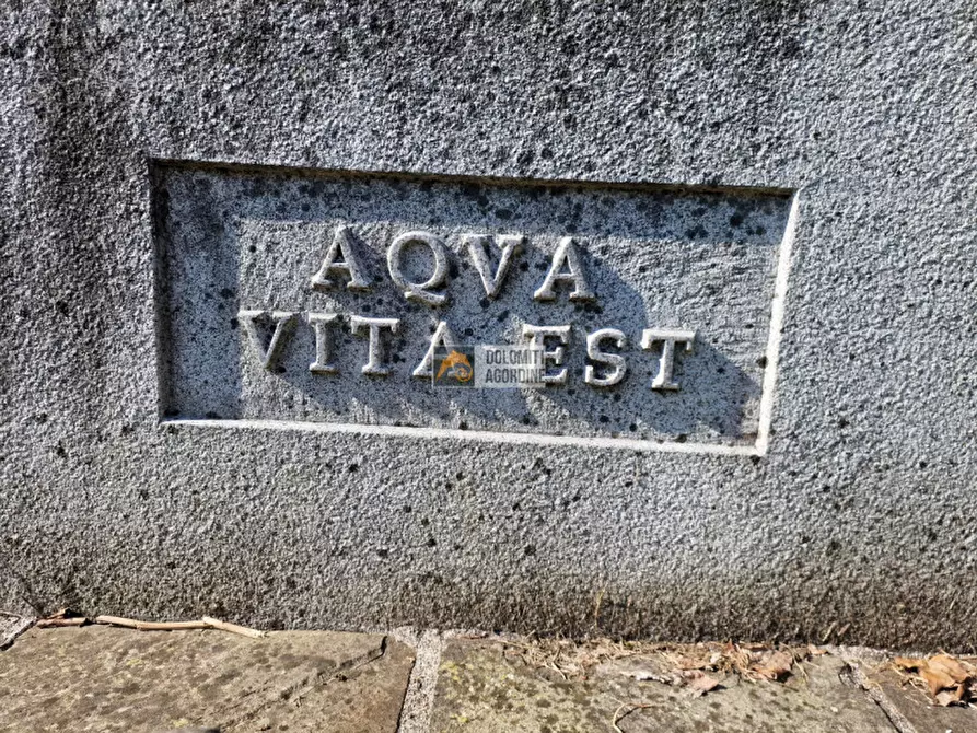 Immagine 25 di Villa in vendita  in Via Trento a Pedavena