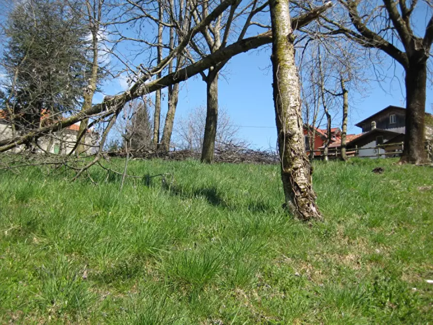 Immagine 21 di Casa quadrifamiliare in vendita  in VIA DOSSO a Roana