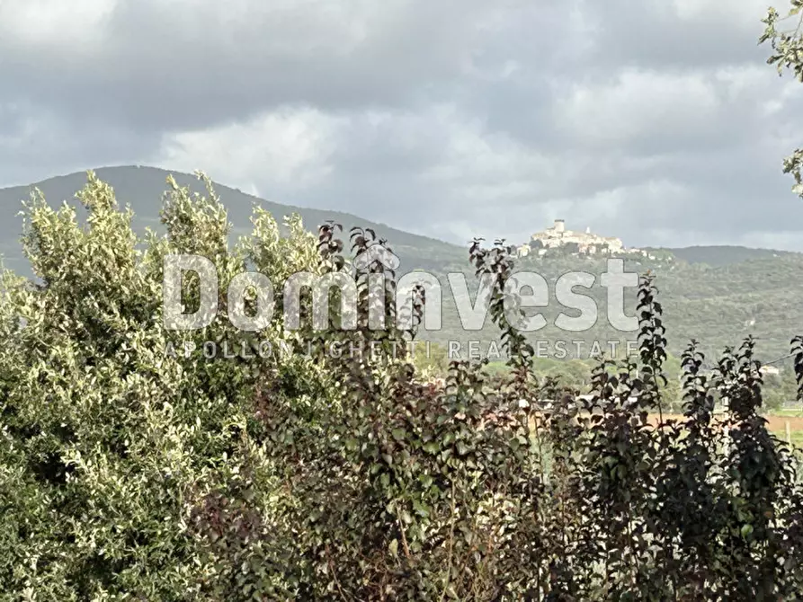 Immagine 3 di Rustico / casale in vendita  in Strada Valmarina a Capalbio