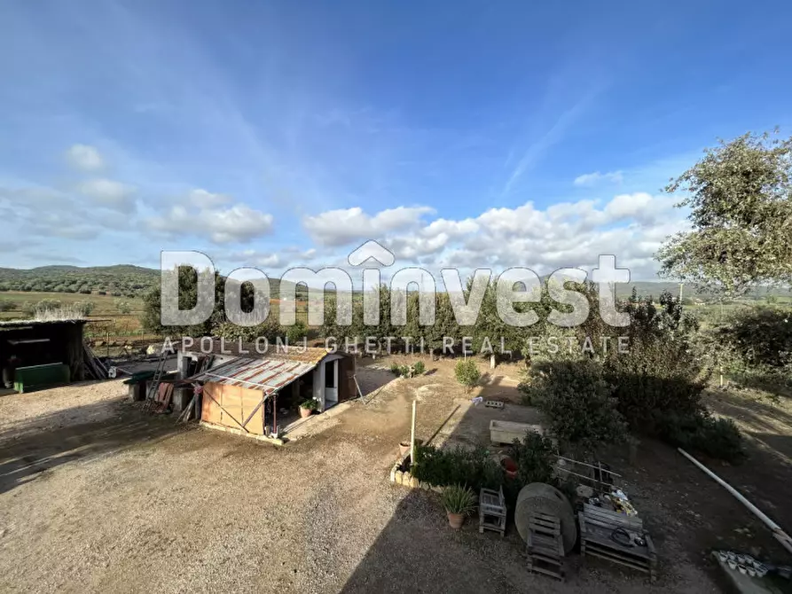 Immagine 3 di Rustico / casale in vendita  in Strada Valmarina a Capalbio