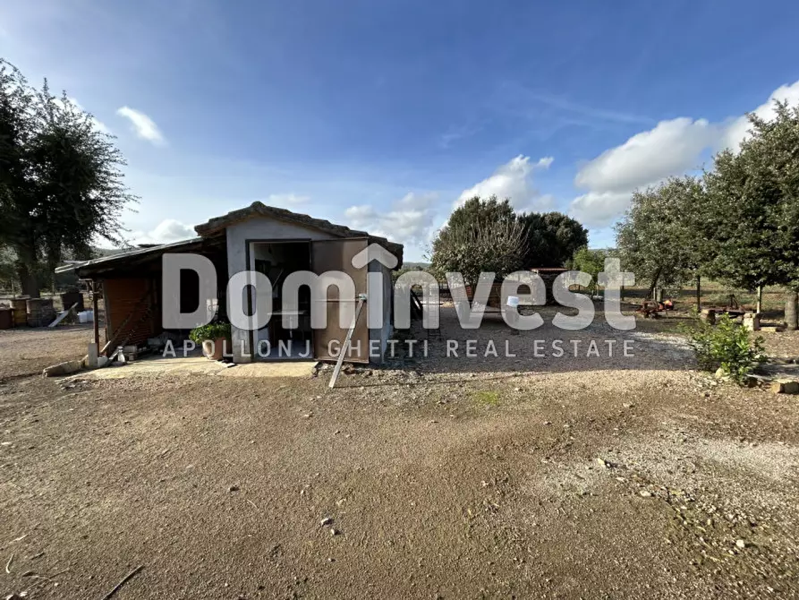 Immagine 10 di Rustico / casale in vendita  in Strada Valmarina a Capalbio