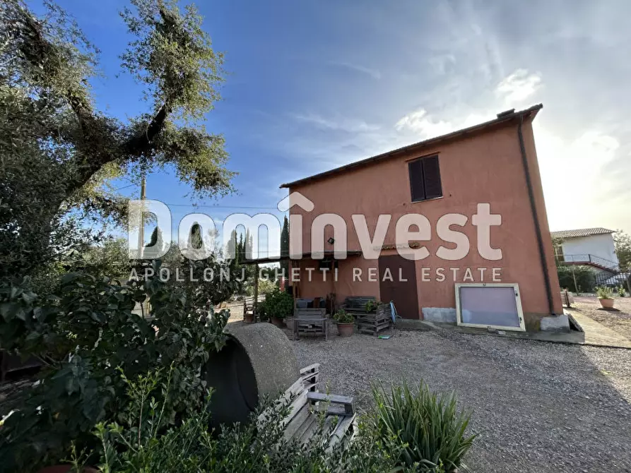 Immagine 11 di Rustico / casale in vendita  in Strada Valmarina a Capalbio