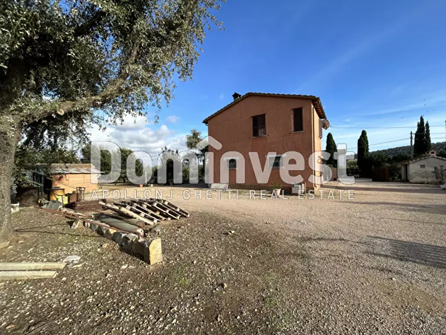 Immagine 12 di Rustico / casale in vendita  in Strada Valmarina a Capalbio