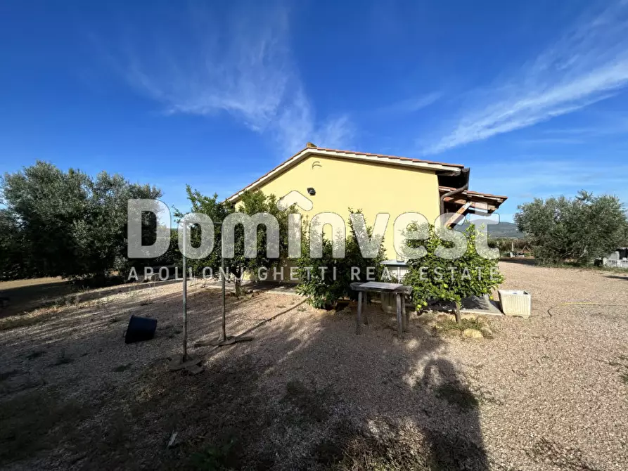 Immagine 2 di Rustico / casale in vendita  in Strada Valmarina a Capalbio
