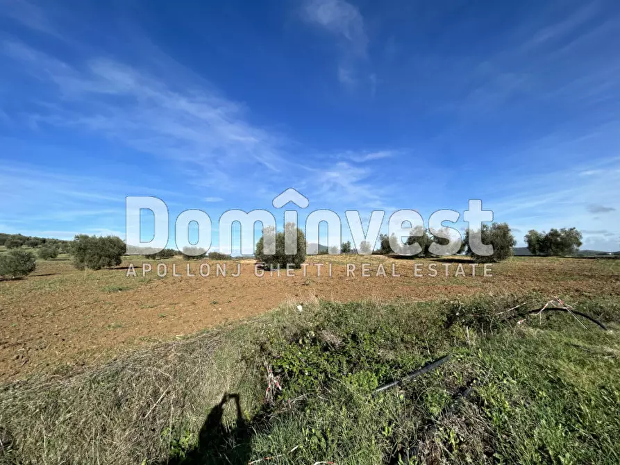 Immagine 4 di Rustico / casale in vendita  in Strada Valmarina a Capalbio