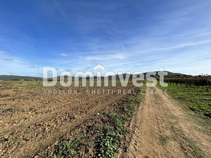 Immagine 7 di Rustico / casale in vendita  in Strada Valmarina a Capalbio