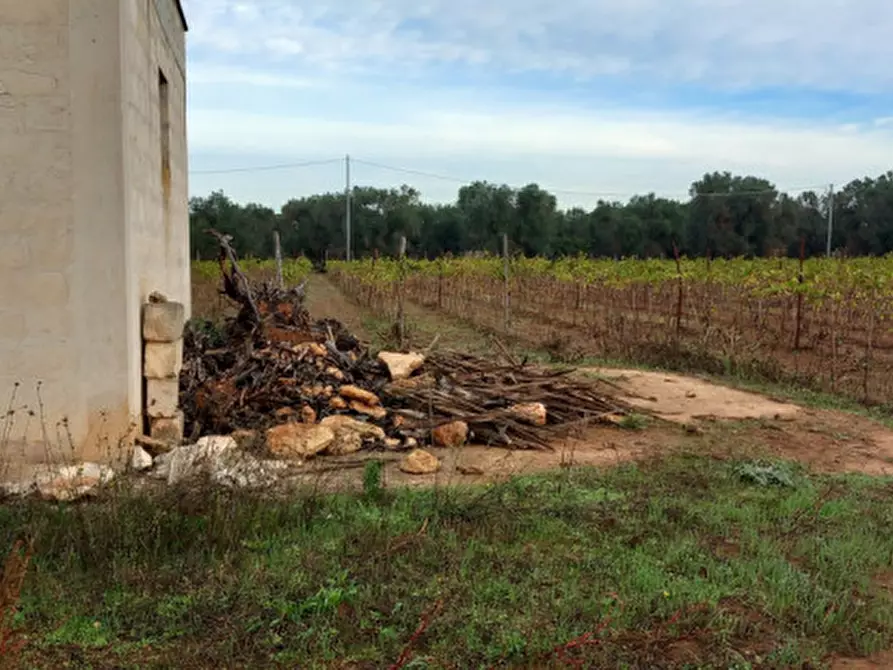 Immagine 7 di Rustico / casale in vendita  in C.da Donna Annella a Francavilla Fontana