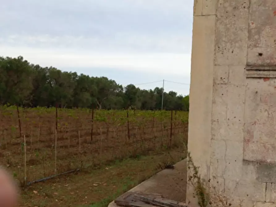 Immagine 11 di Rustico / casale in vendita  in C.da Donna Annella a Francavilla Fontana