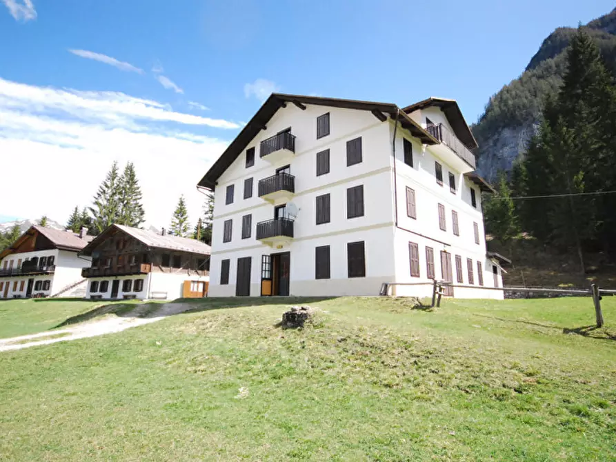 Immagine 1 di Casa indipendente in vendita  in Cima Canale a Santo Stefano Di Cadore