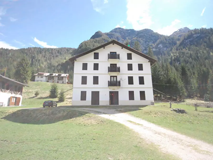 Immagine 2 di Casa indipendente in vendita  in Cima Canale a Santo Stefano Di Cadore