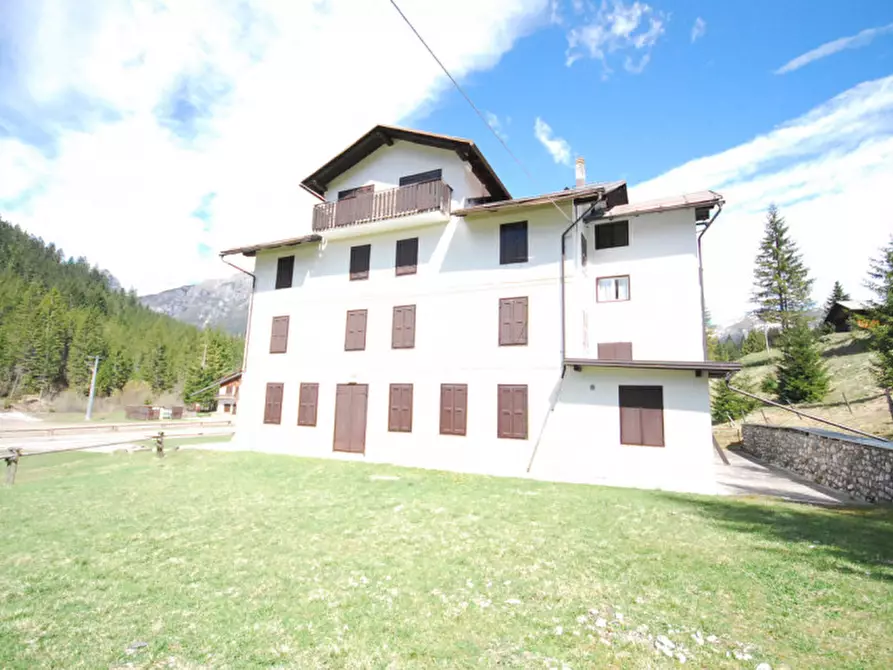 Immagine 3 di Casa indipendente in vendita  in Cima Canale a Santo Stefano Di Cadore