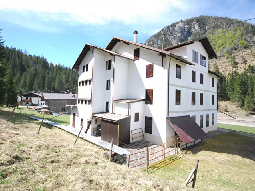Immagine 4 di Casa indipendente in vendita  in Cima Canale a Santo Stefano Di Cadore
