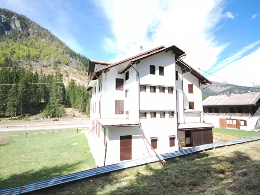 Immagine 5 di Casa indipendente in vendita  in Cima Canale a Santo Stefano Di Cadore