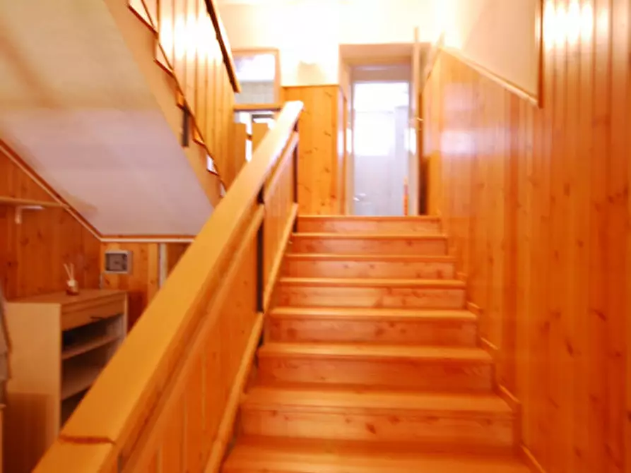 Immagine 11 di Casa indipendente in vendita  in Cima Canale a Santo Stefano Di Cadore