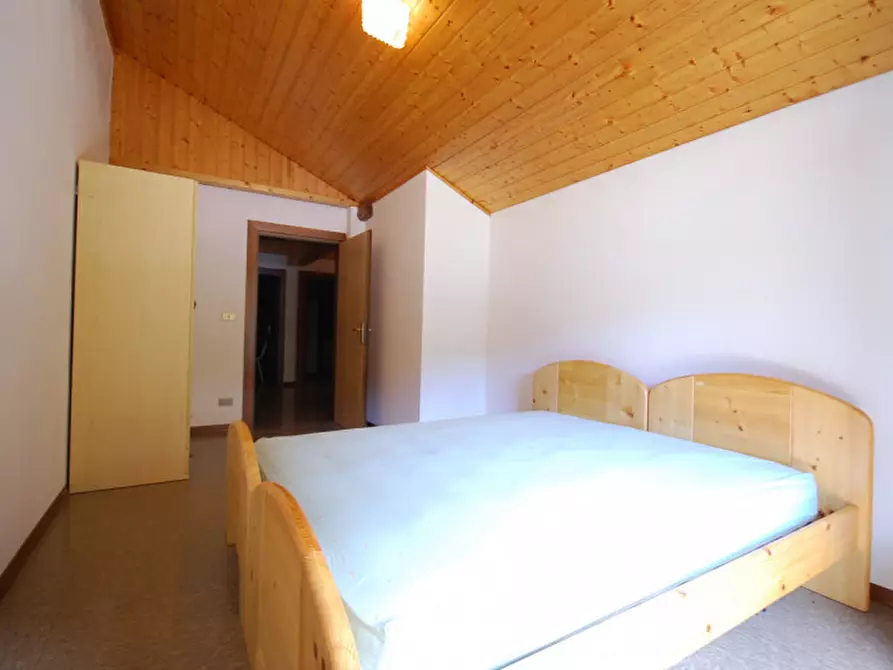 Immagine 18 di Casa indipendente in vendita  in Cima Canale a Santo Stefano Di Cadore