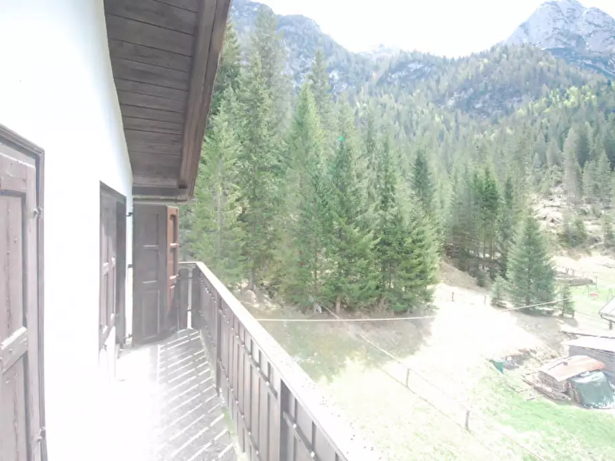 Immagine 31 di Casa indipendente in vendita  in Cima Canale a Santo Stefano Di Cadore