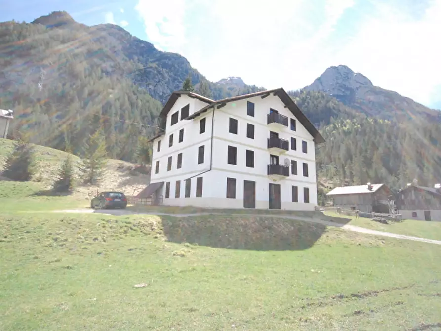 Immagine 32 di Casa indipendente in vendita  in Cima Canale a Santo Stefano Di Cadore