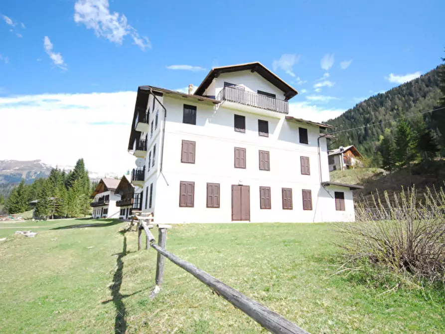 Immagine 33 di Casa indipendente in vendita  in Cima Canale a Santo Stefano Di Cadore