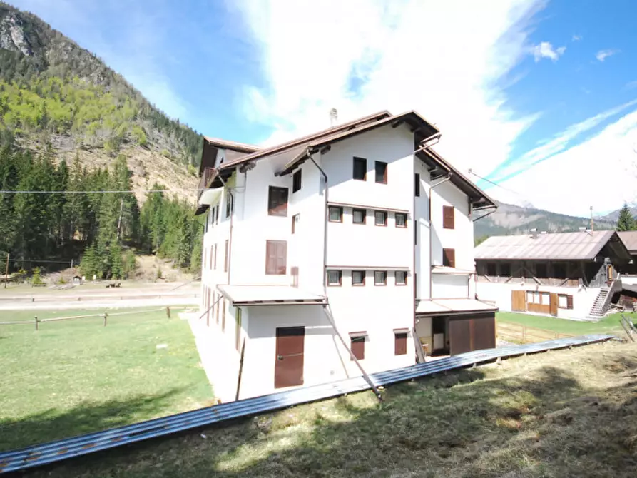 Immagine 34 di Casa indipendente in vendita  in Cima Canale a Santo Stefano Di Cadore