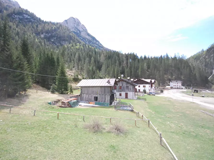 Immagine 37 di Casa indipendente in vendita  in Cima Canale a Santo Stefano Di Cadore