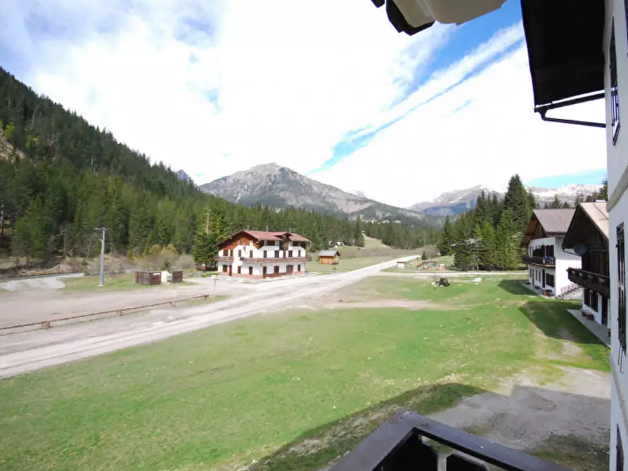 Immagine 38 di Casa indipendente in vendita  in Cima Canale a Santo Stefano Di Cadore