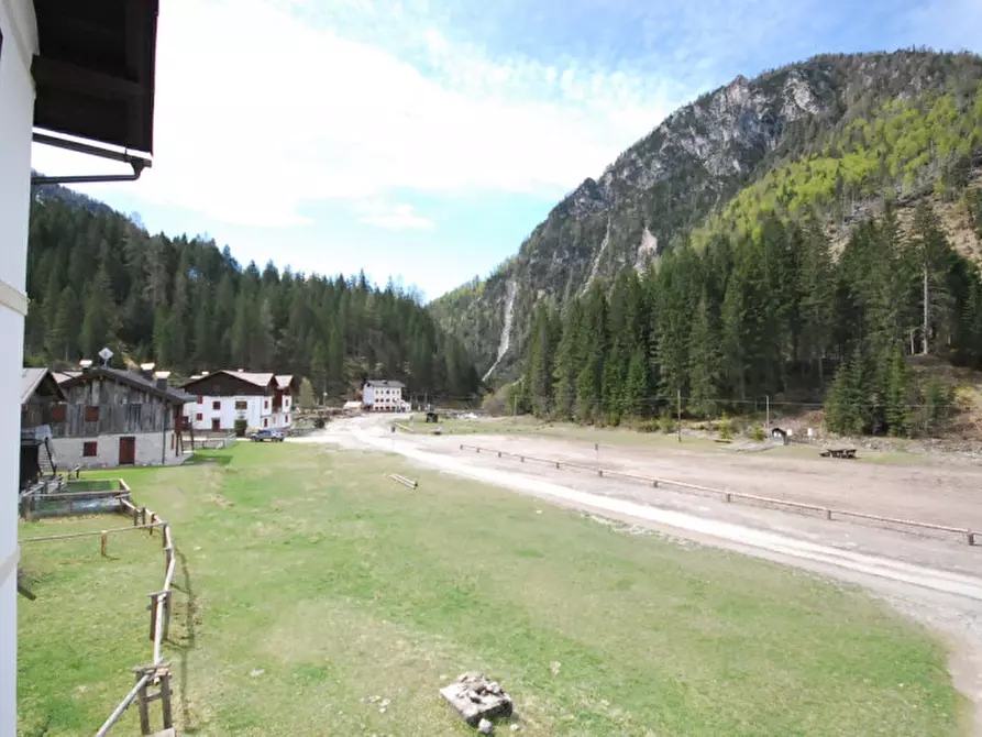 Immagine 39 di Casa indipendente in vendita  in Cima Canale a Santo Stefano Di Cadore