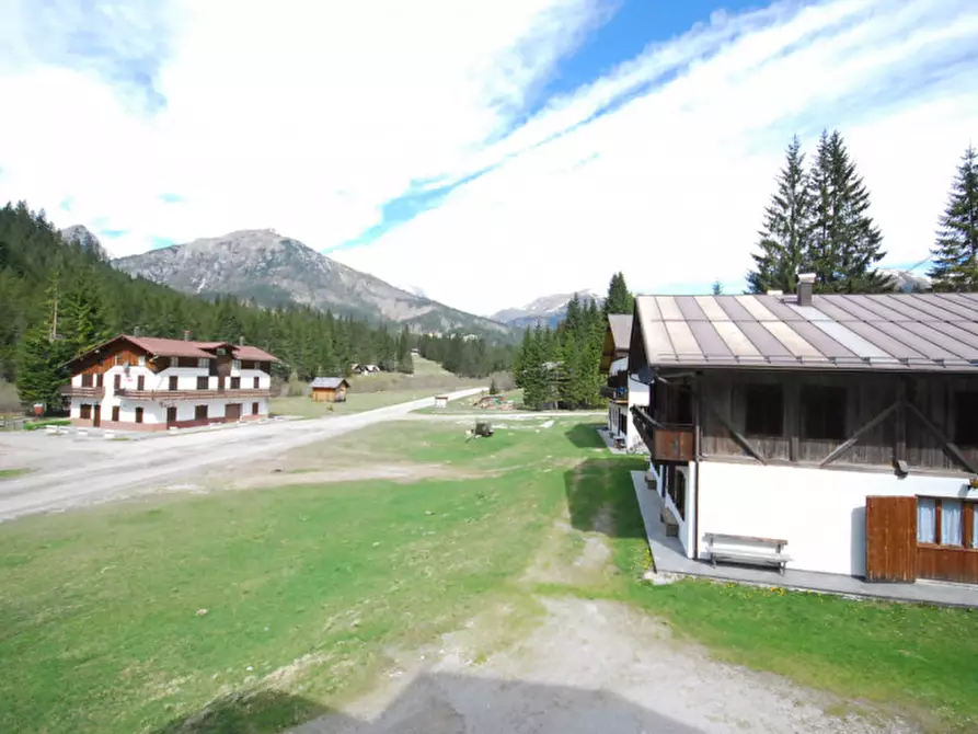 Immagine 40 di Casa indipendente in vendita  in Cima Canale a Santo Stefano Di Cadore