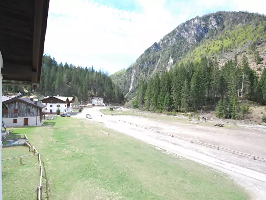 Immagine 42 di Casa indipendente in vendita  in Cima Canale a Santo Stefano Di Cadore