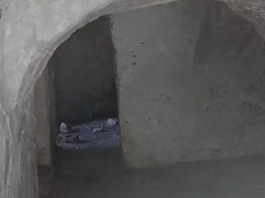 Immagine 20 di Rustico / casale in vendita  in C.da Sardella a San Michele Salentino