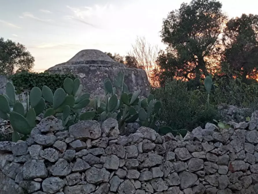 Immagine 21 di Rustico / casale in vendita  in C.da Sardella a San Michele Salentino